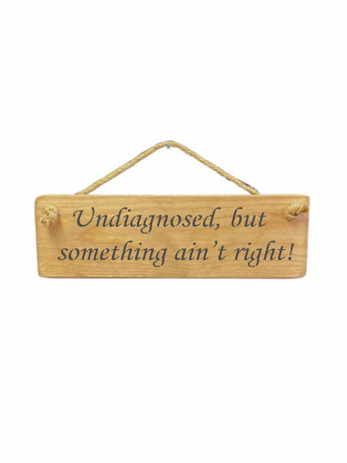 Undiagnosed, but something ain't right! Wooden Hanging Wall Art Gift Sign