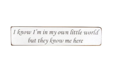 I know I'm in my own little world but they know me here, 45cm wood sign