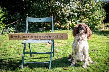 If our dog doesn't like you we probably won't either